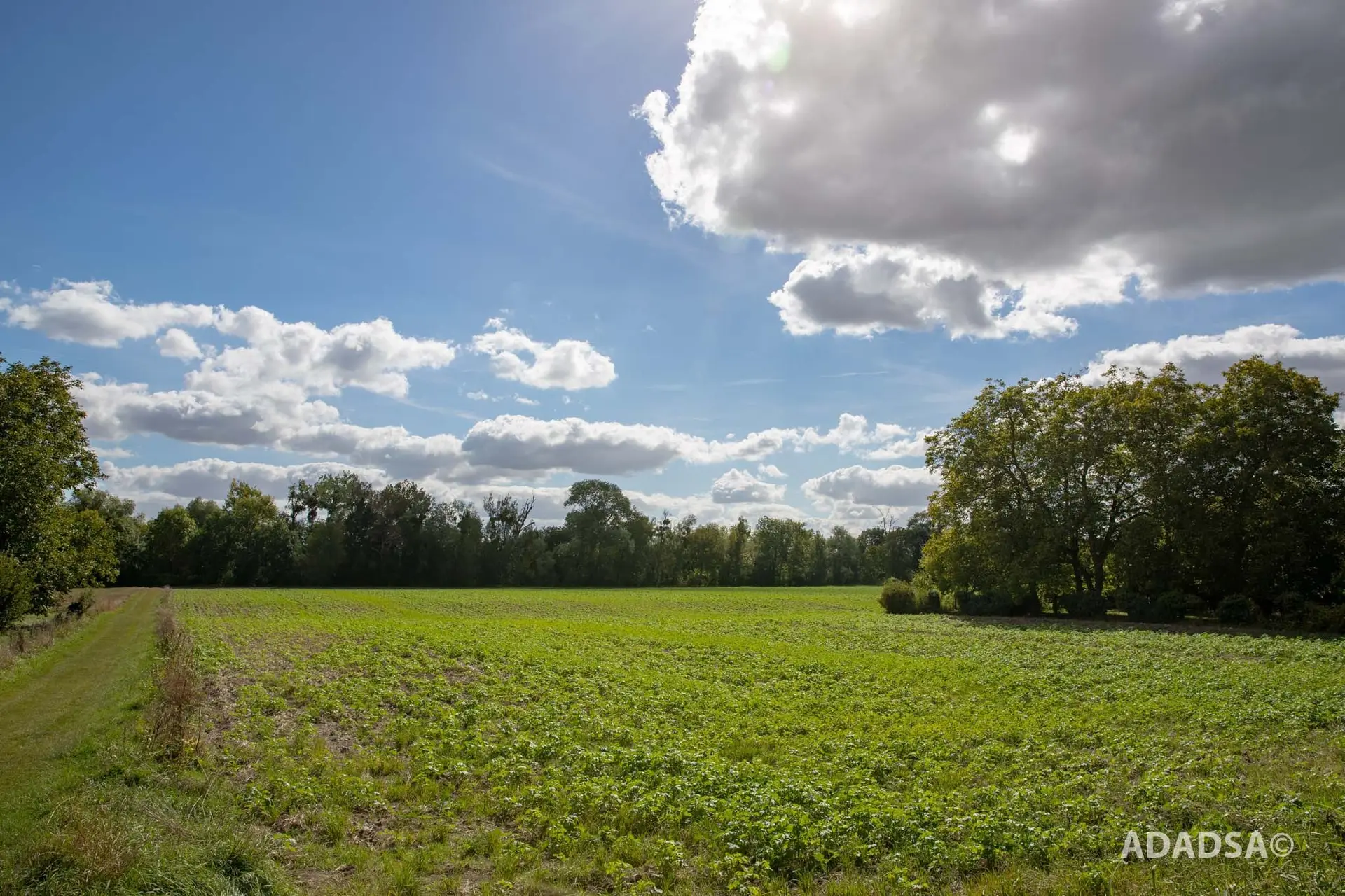 Paysages-102 copie (1)