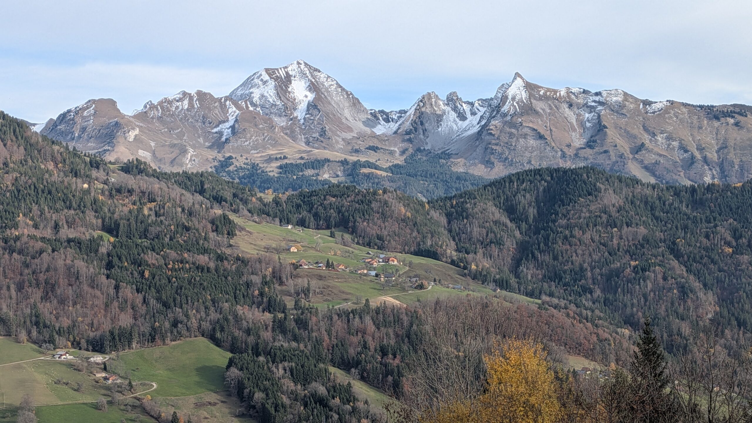 PXL_20251111_135856417.MP