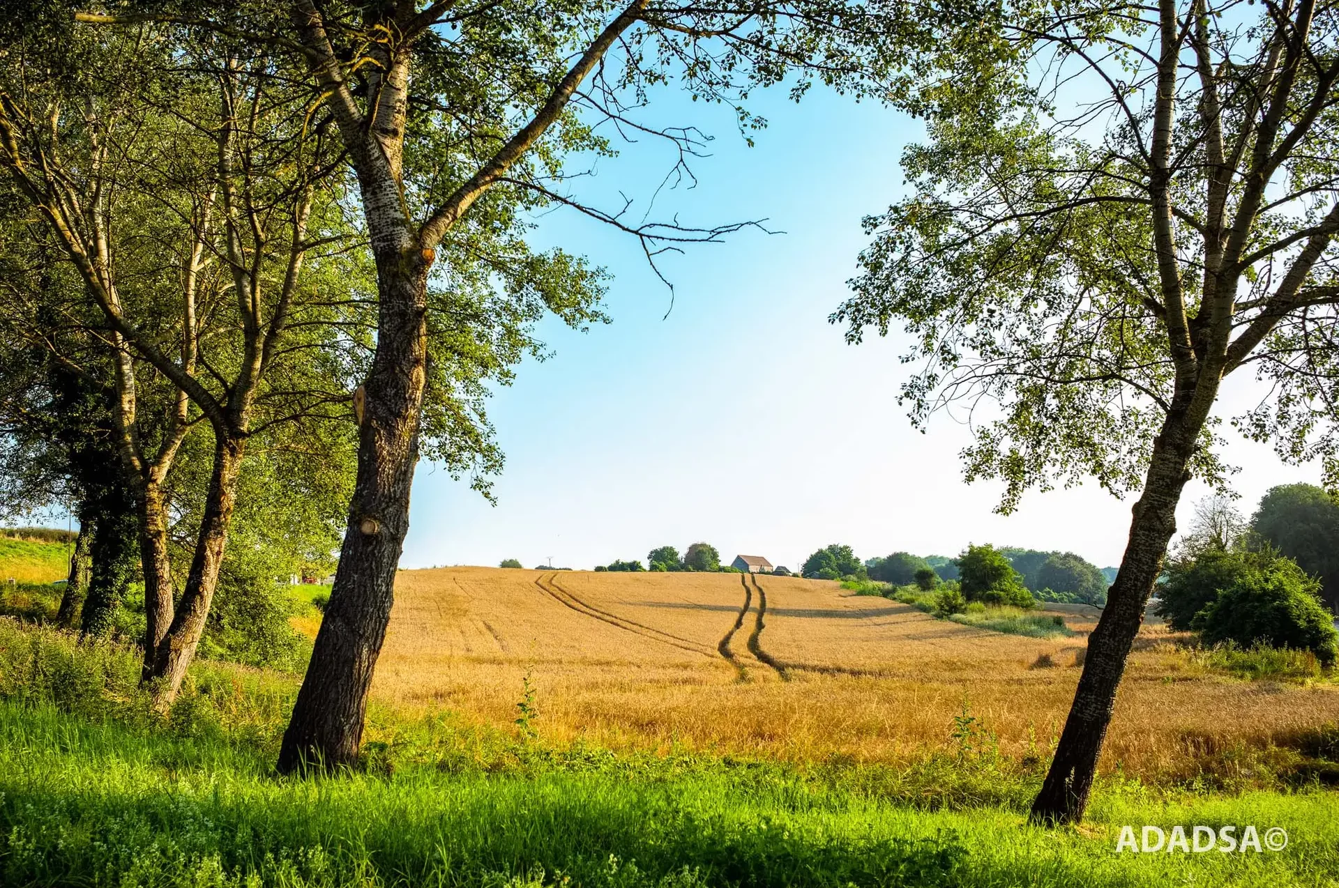 Étude de gisement de déchets BTP