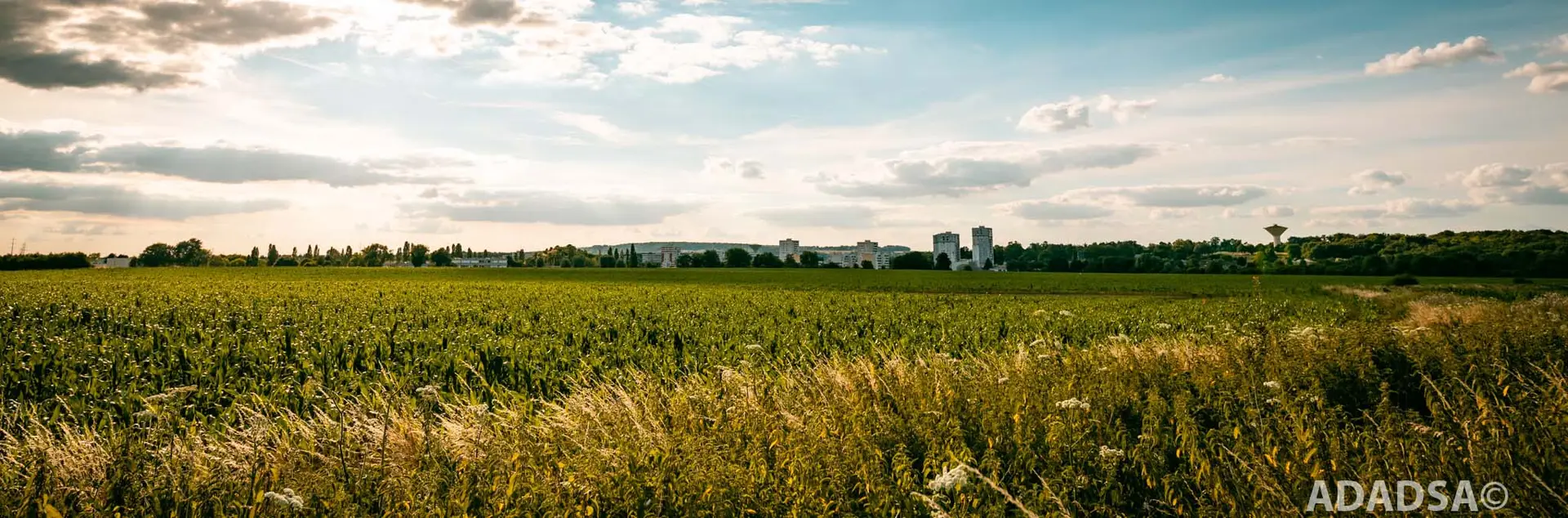 Retour d'expériences sur les prescriptions énergétiques des programmes immobiliers