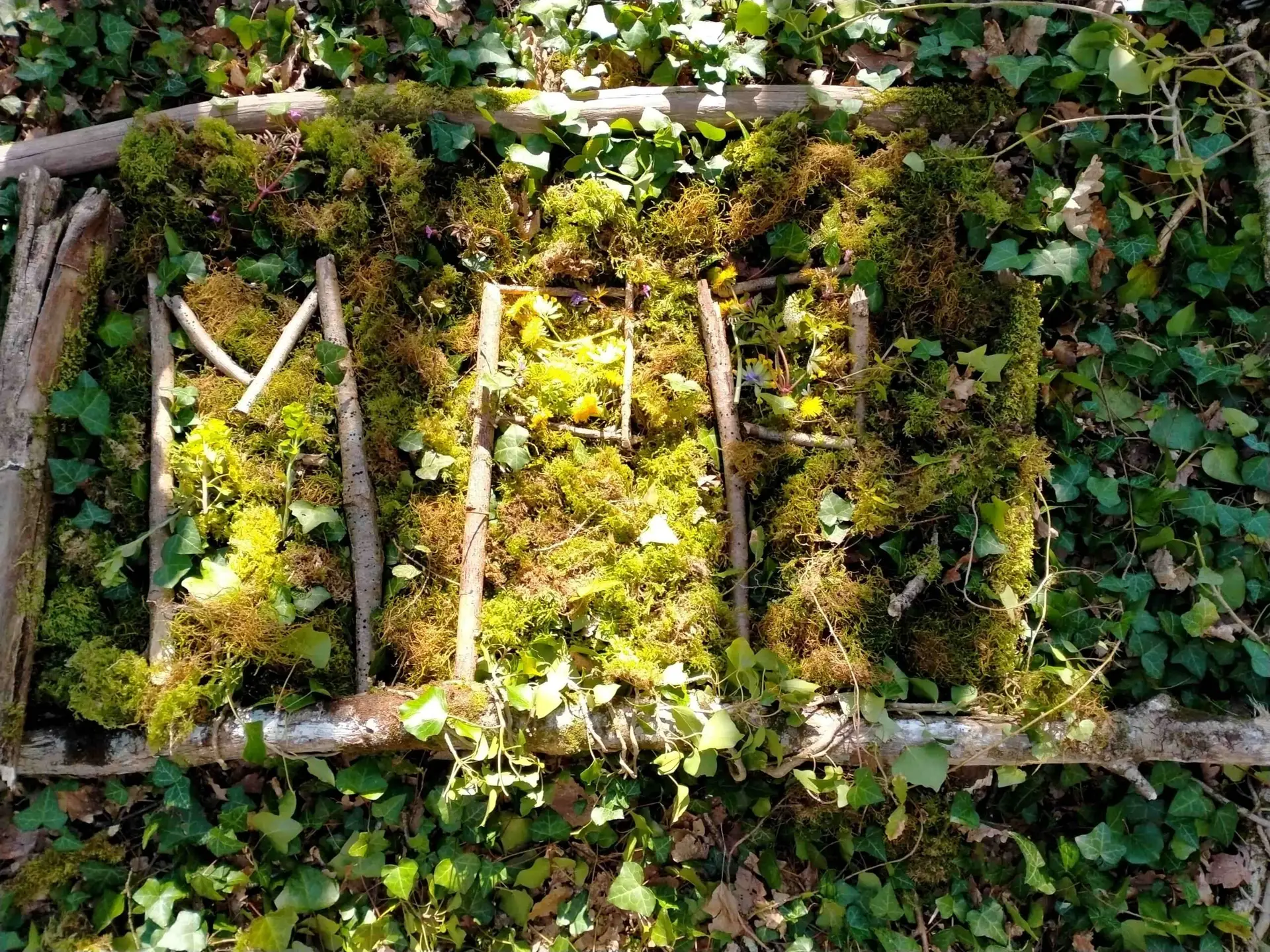 SEINERGY LAB & Ma Petite Planète scolaire